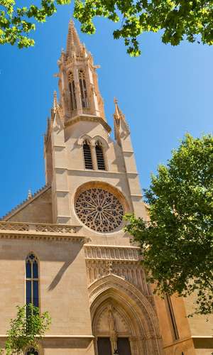 Reserva tu tour panorámico en autobús con paradas libres en Palma, España – Billetes oficiales, rutas flexibles y cancelación gratuita en 2025