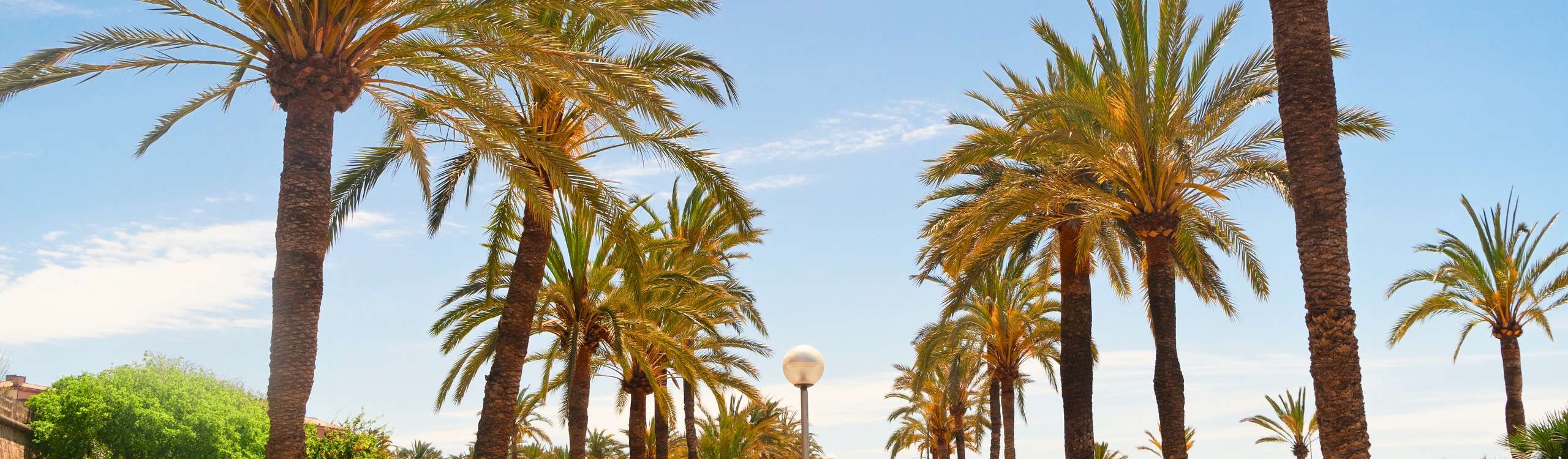 Explora Palma con un Pase de Ciudad – Ahorra en las principales atracciones, disfruta del acceso todo en uno y la comodidad digital en 2025