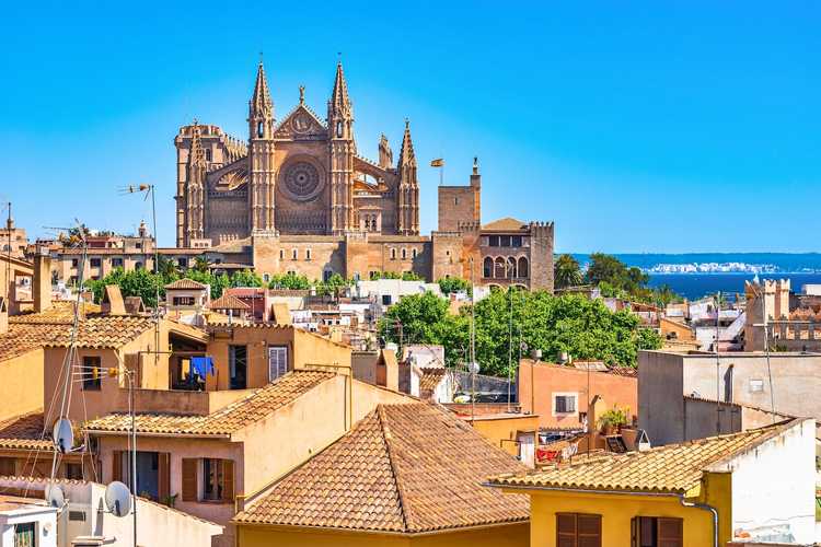 Los mejores alojamientos en Palma – Hoteles, apartamentos, hostales y villas para todo tipo de viajeros en 2026