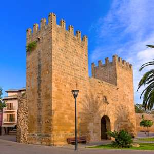 Explora Palma a tu ritmo con los tours en autobús con paradas libres – Vistas panorámicas, guías de audio y paradas ilimitadas en 2025