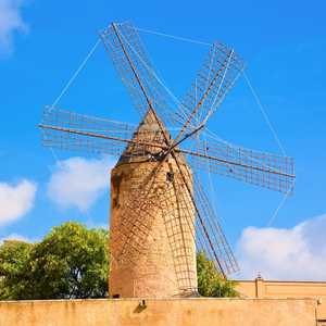 Súbete al autobús de dos pisos en Palma, España – Descubre monumentos, atracciones y rincones secretos con un tour turístico en autobús en 2026